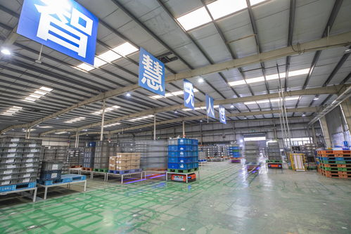 重慶 以智能化驅(qū)動(dòng)轉(zhuǎn)型升級，汽車零配件批發(fā)行業(yè)質(zhì)效雙提升